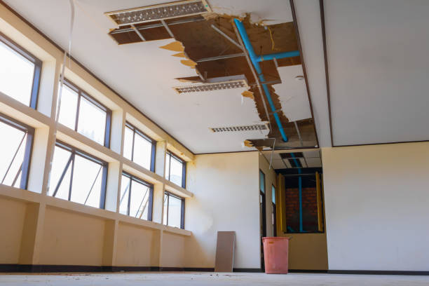 Best Local water damage restoration  in Mission Hills, KS