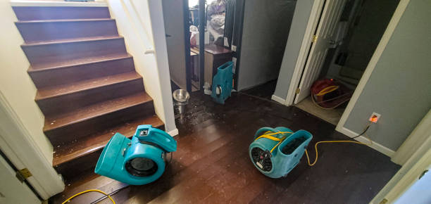Best Ceiling water damage repair  in Mission Hills, KS