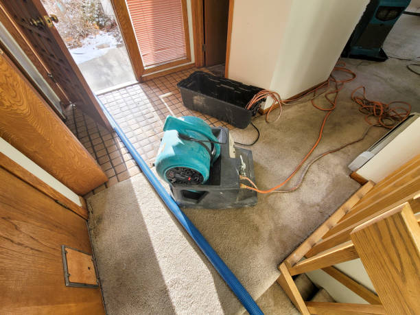 Best Flood damage cleanup  in Mission Hills, KS
