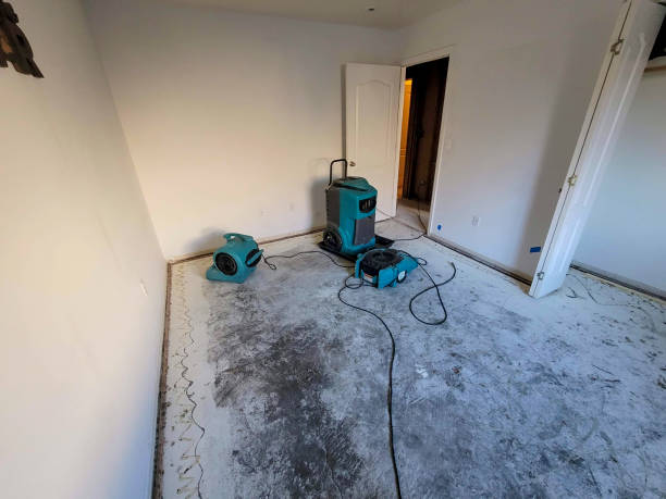 Best Water damage restoration experts  in Mission Hills, KS