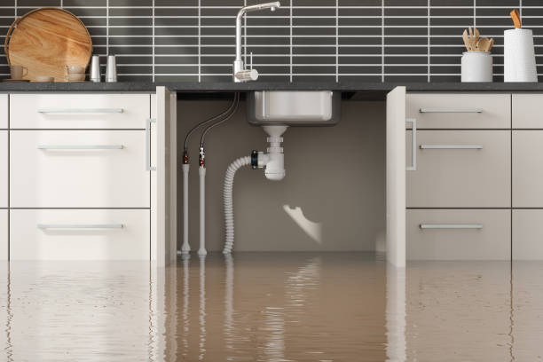 Best Fire Damage Restoration  in Mission Hills, KS