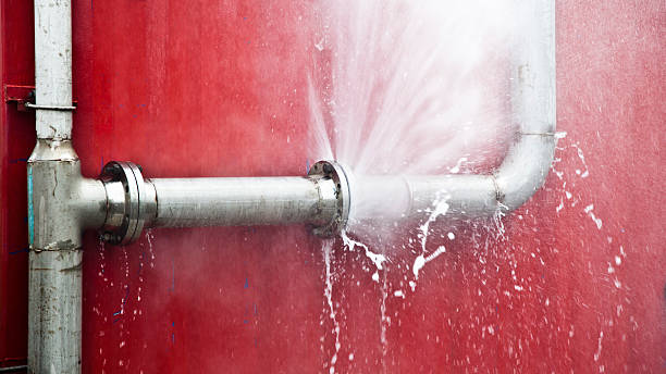 Best Mold removal after water damage  in Mission Hills, KS